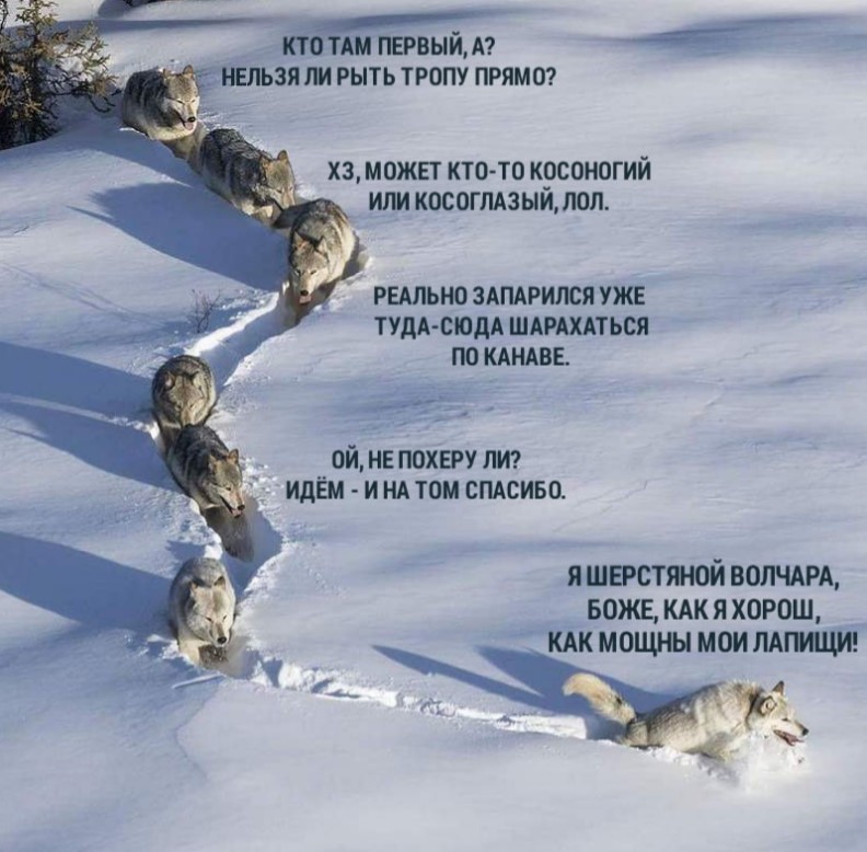 https://upforme.ru/uploads/0017/28/55/33/143878.jpg