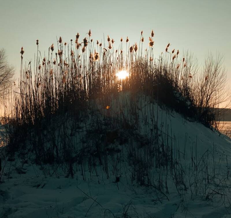 https://upforme.ru/uploads/0017/28/55/382/595064.jpg