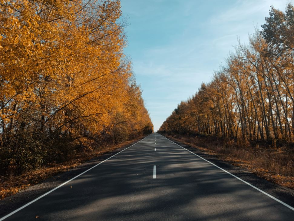 https://upforme.ru/uploads/0017/28/55/382/715147.jpg