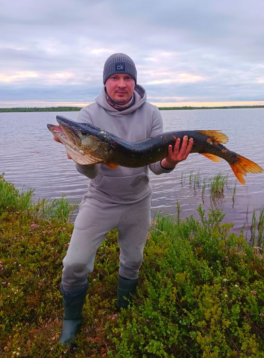 https://upforme.ru/uploads/0017/28/55/382/868390.jpg