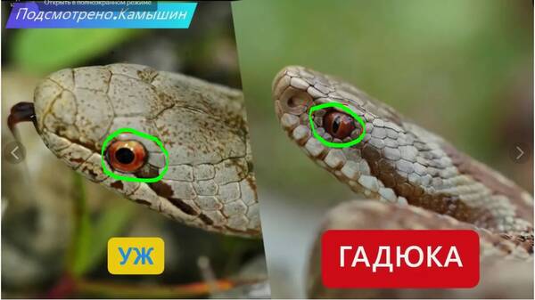 https://upforme.ru/uploads/0017/28/55/382/t428561.jpg