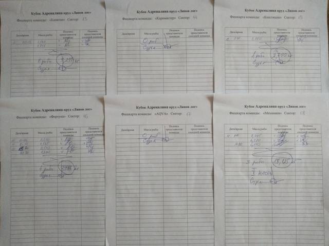 https://upforme.ru/uploads/0017/28/55/40/416436.jpg