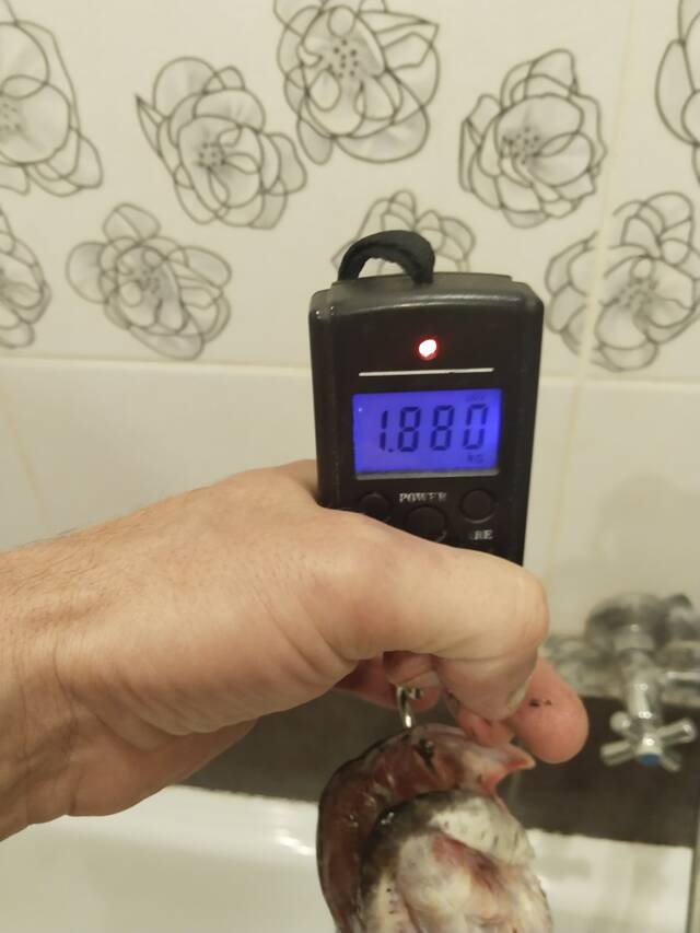 https://upforme.ru/uploads/0017/28/55/40/957520.jpg