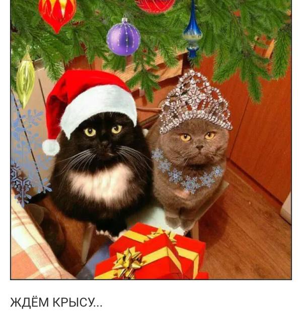 https://upforme.ru/uploads/0017/28/55/45/t67606.jpg