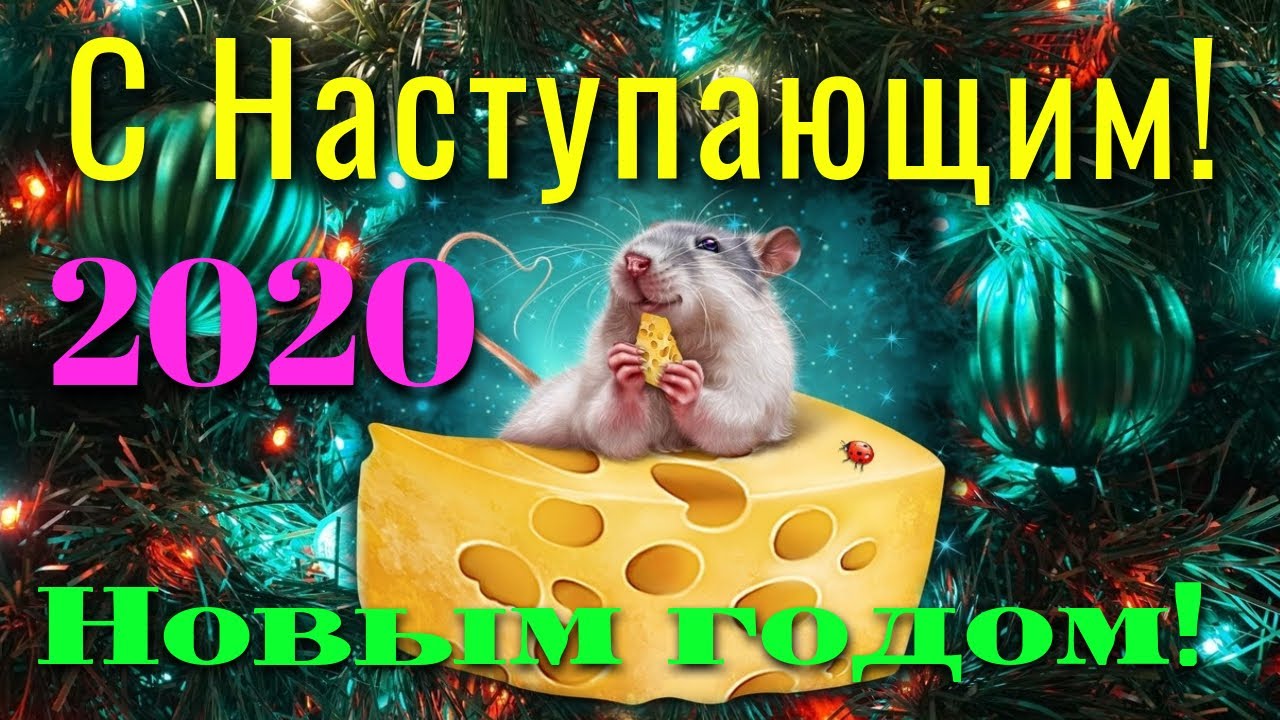 https://upforme.ru/uploads/0017/28/55/5/32169.jpg