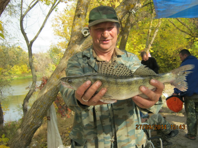 https://upforme.ru/uploads/0017/28/55/5/77139.jpg