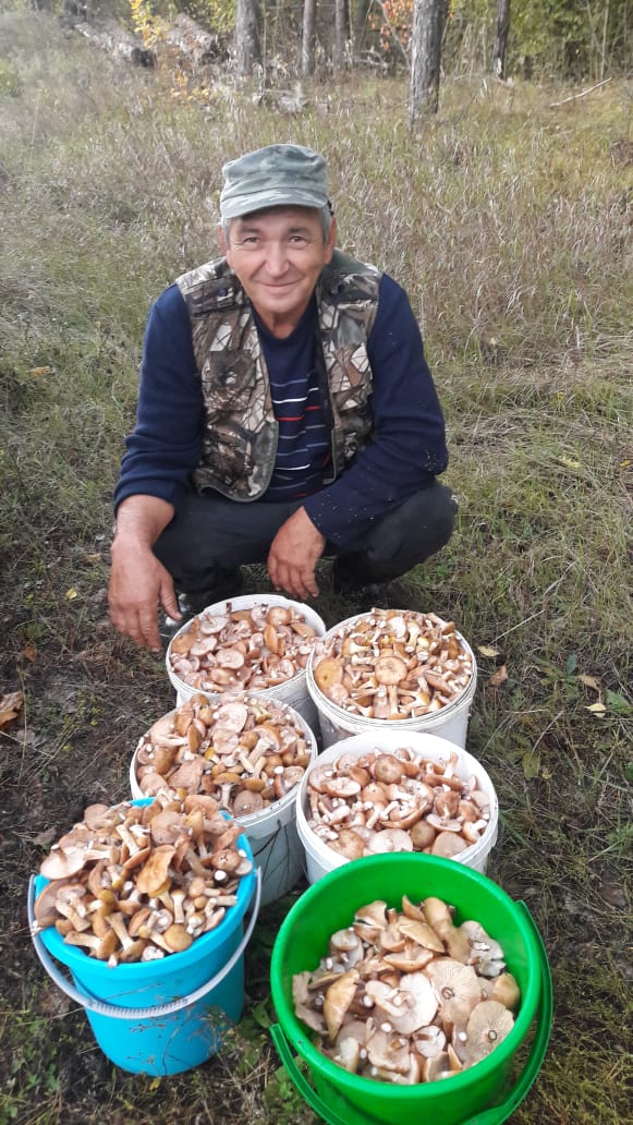 https://upforme.ru/uploads/0017/28/55/58/239461.jpg