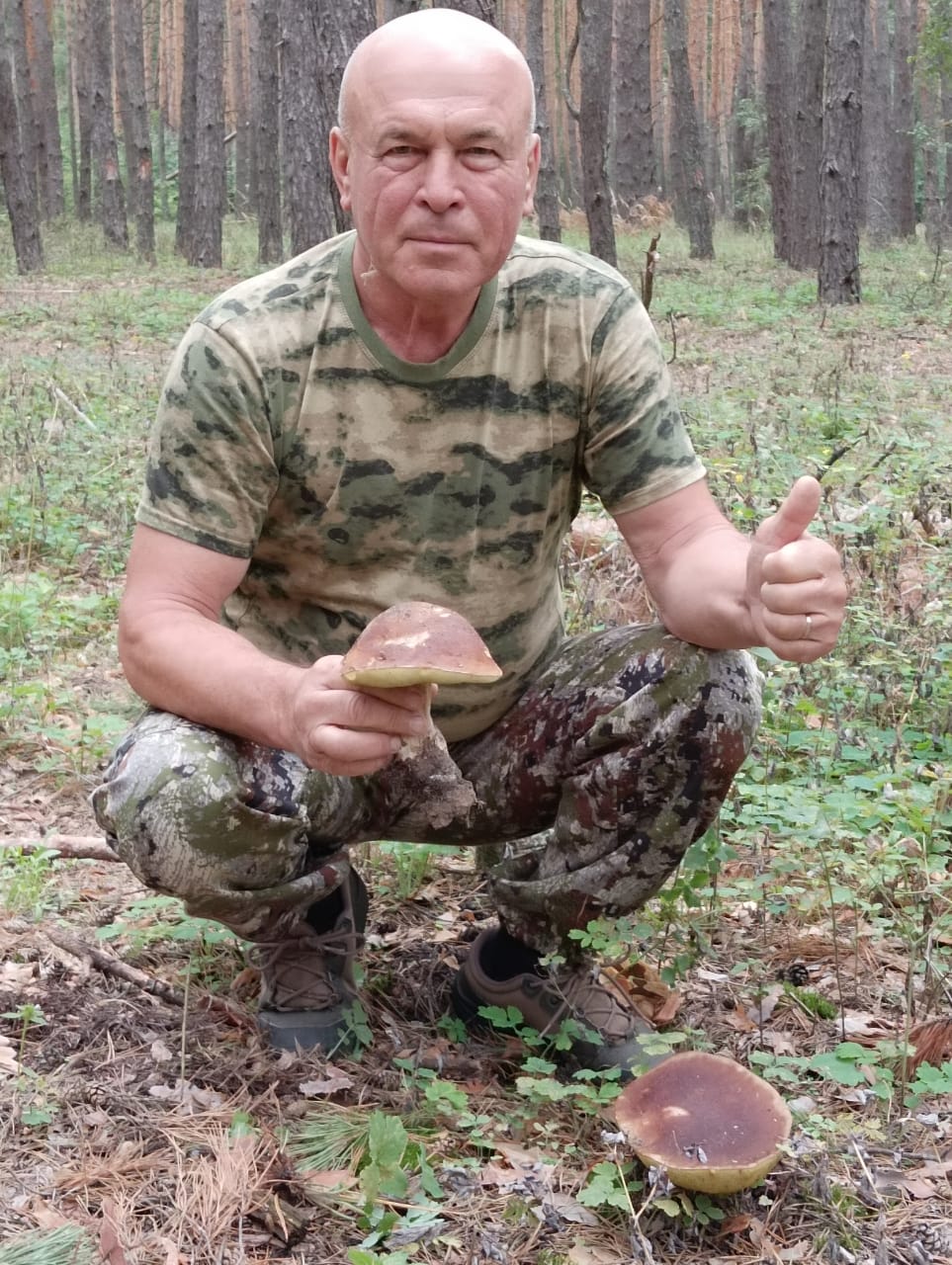https://upforme.ru/uploads/0017/28/55/58/746464.jpg