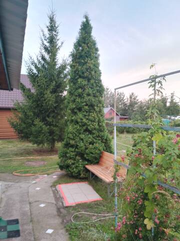 https://upforme.ru/uploads/0017/28/55/6/t365454.jpg