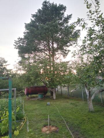 https://upforme.ru/uploads/0017/28/55/6/t679086.jpg