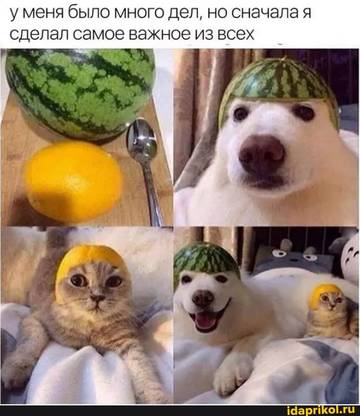 https://upforme.ru/uploads/0017/28/55/628/t12871.jpg