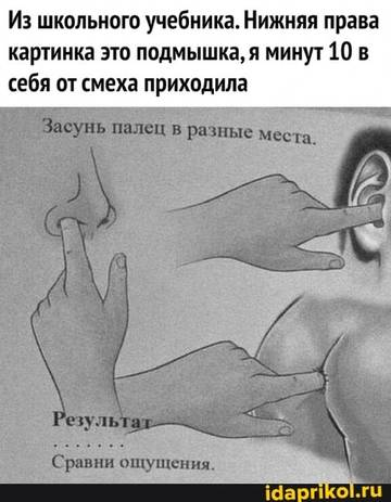 https://upforme.ru/uploads/0017/28/55/628/t42628.jpg