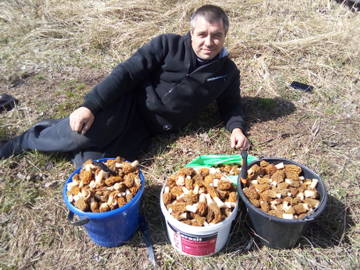 https://upforme.ru/uploads/0017/28/55/628/t87272.jpg