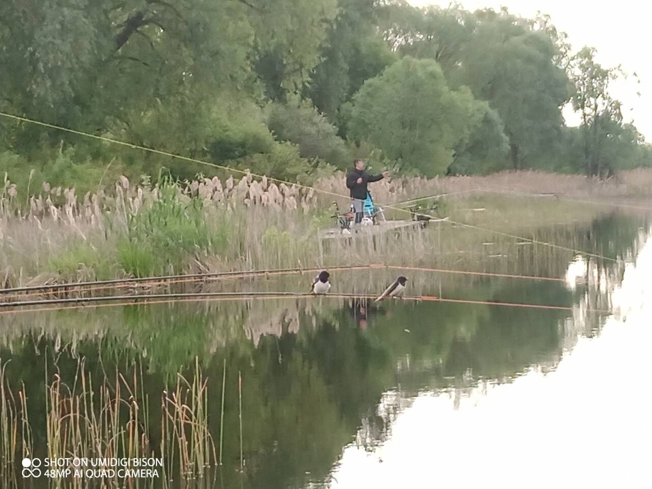 https://upforme.ru/uploads/0017/28/55/7/114797.jpg