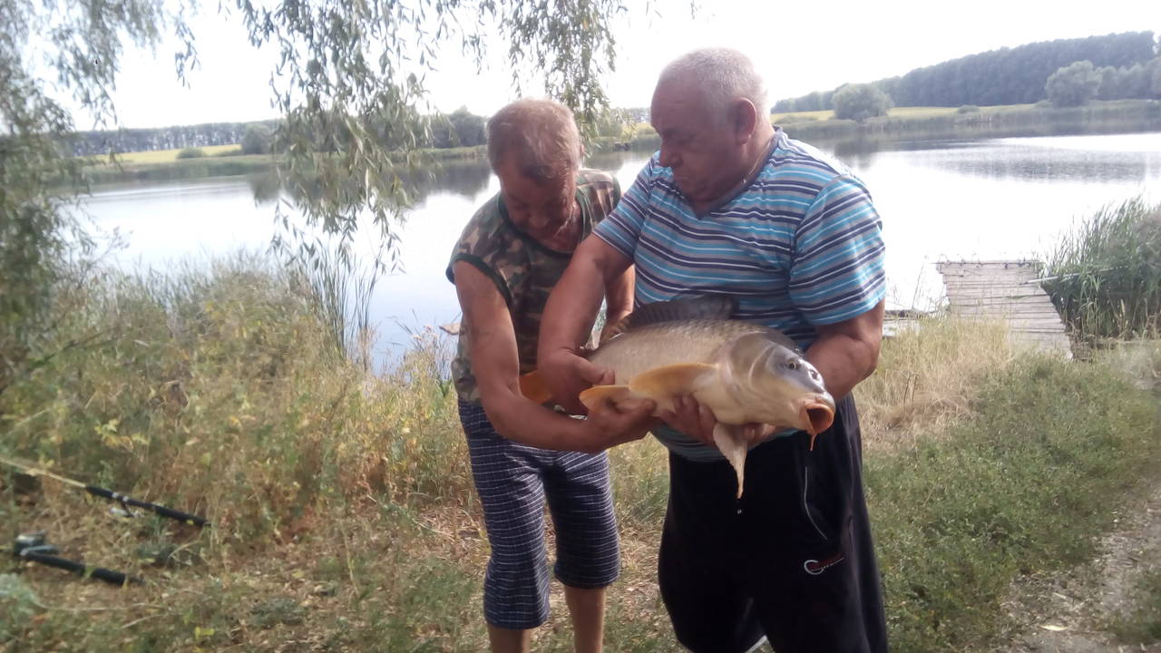 https://upforme.ru/uploads/0017/28/55/7/132196.jpg