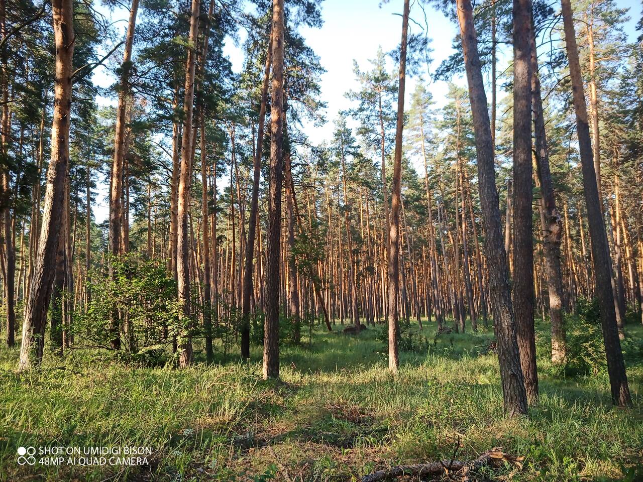 https://upforme.ru/uploads/0017/28/55/7/157143.jpg