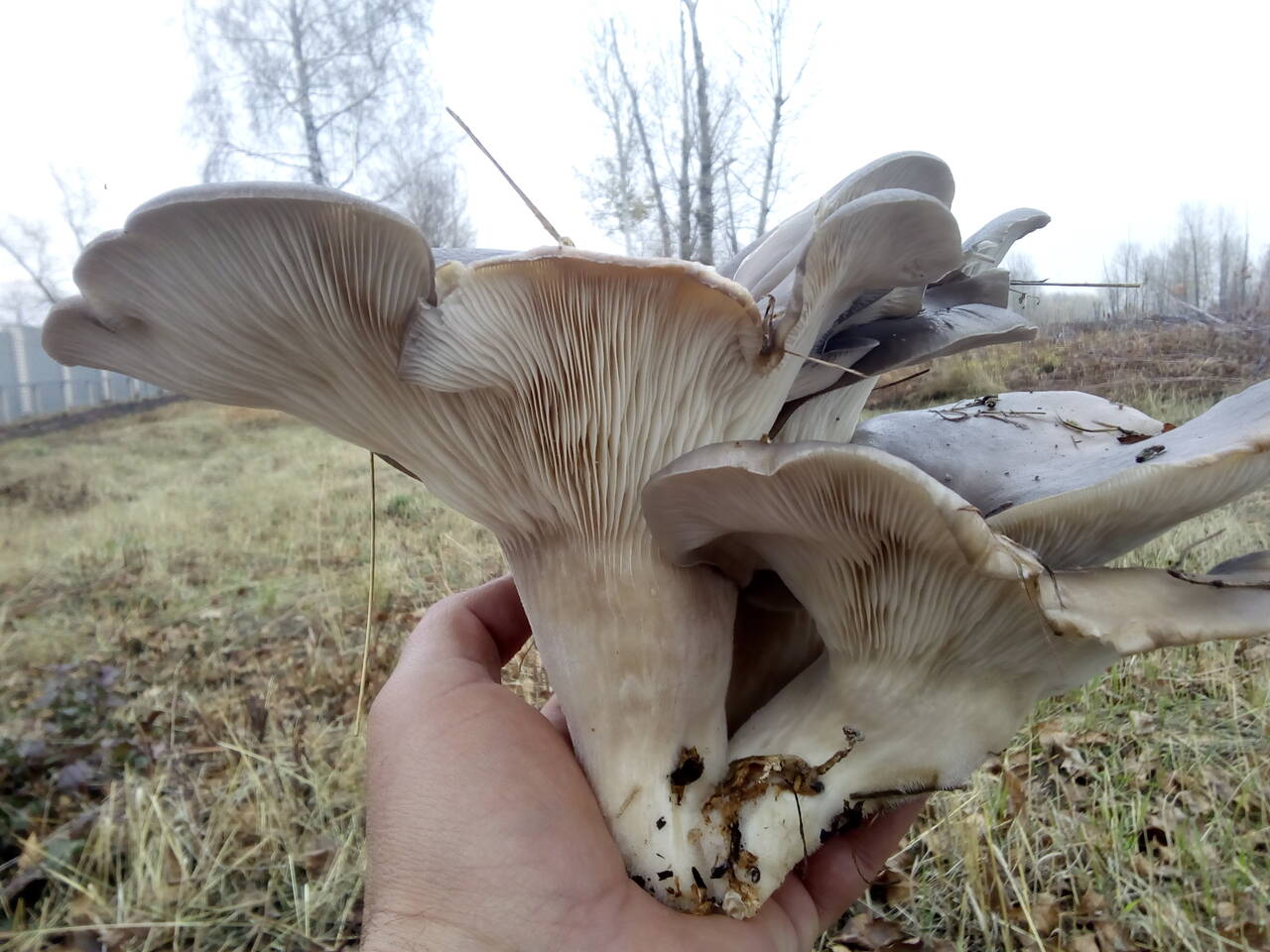 https://upforme.ru/uploads/0017/28/55/7/263489.jpg