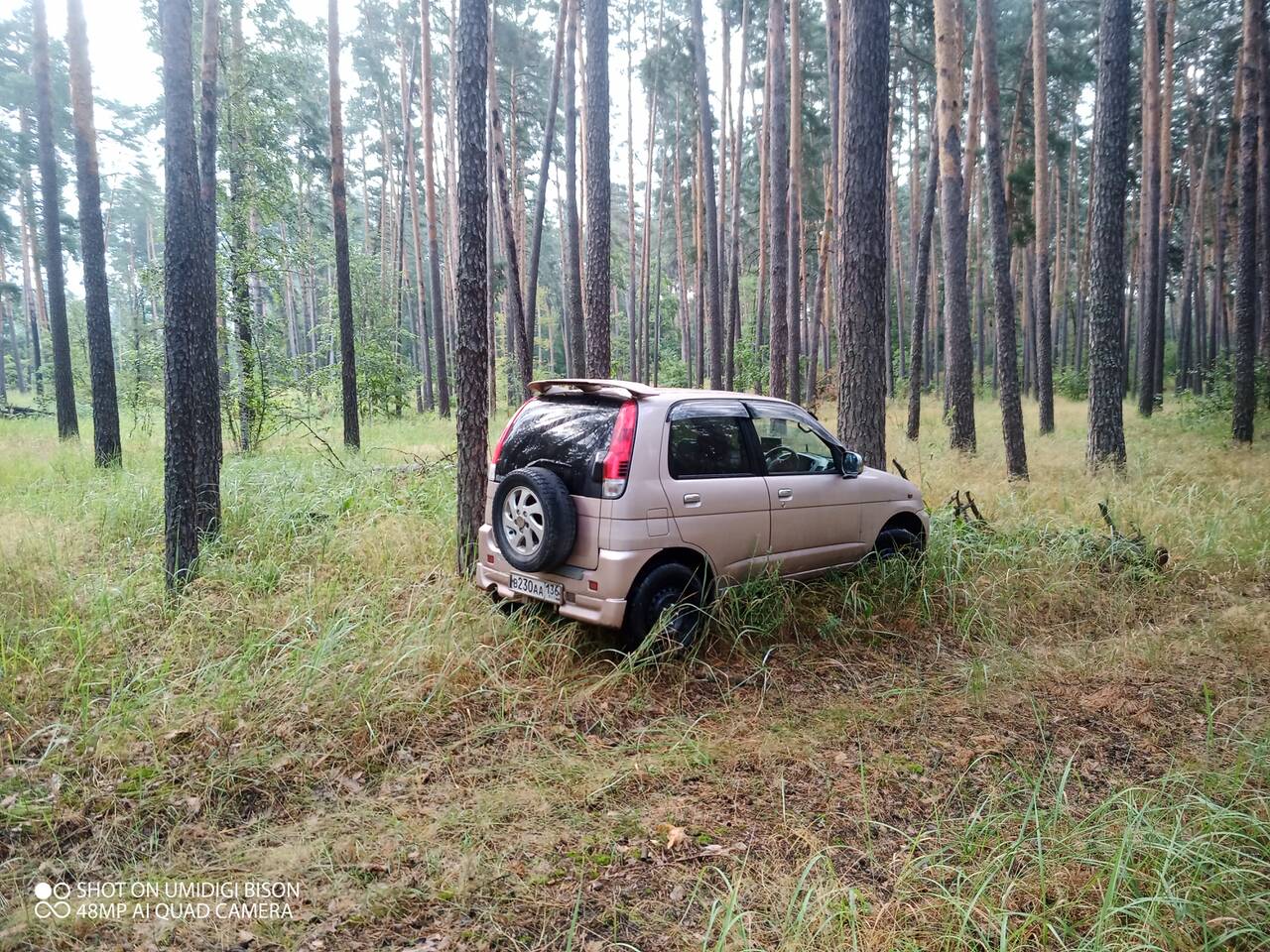 https://upforme.ru/uploads/0017/28/55/7/602290.jpg