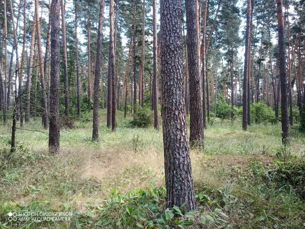 https://upforme.ru/uploads/0017/28/55/7/629778.jpg