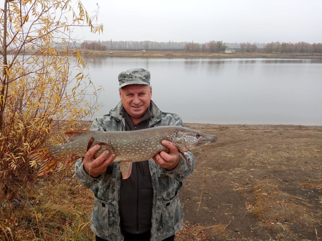 https://upforme.ru/uploads/0017/28/55/7/665922.jpg