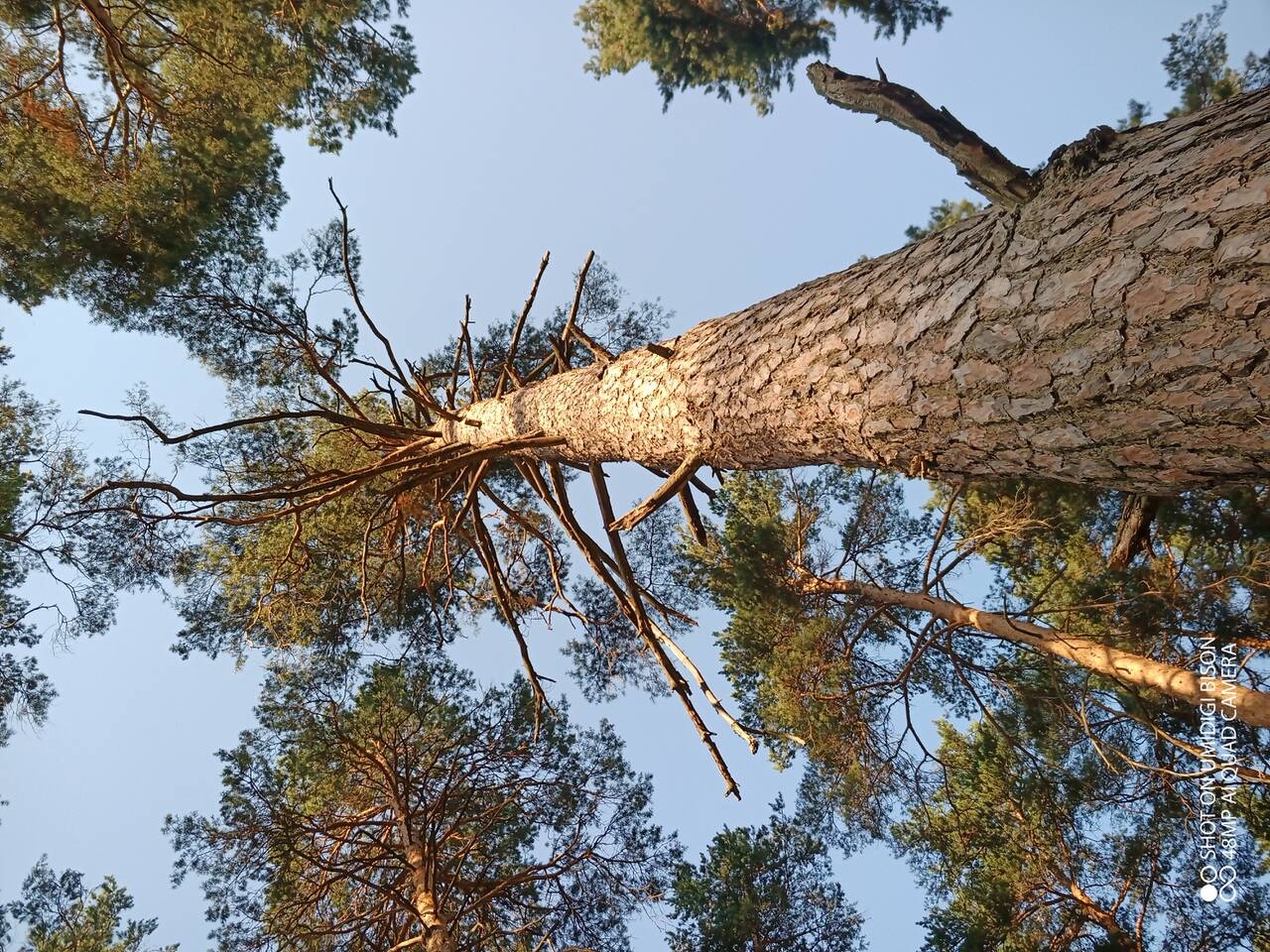 https://upforme.ru/uploads/0017/28/55/7/710213.jpg
