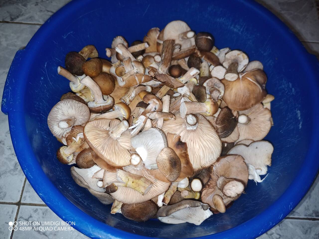 https://upforme.ru/uploads/0017/28/55/7/731830.jpg