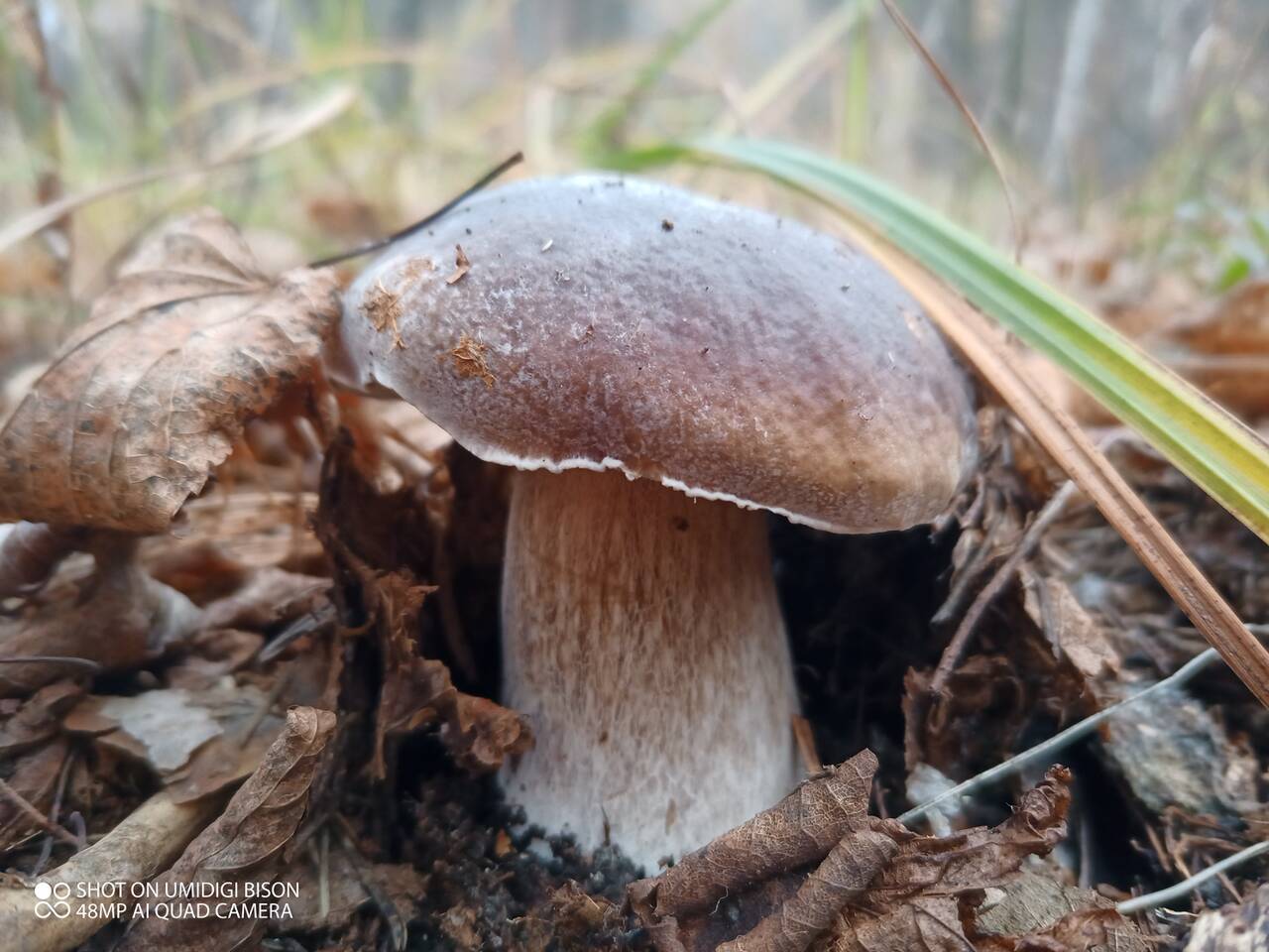 https://upforme.ru/uploads/0017/28/55/7/74116.jpg