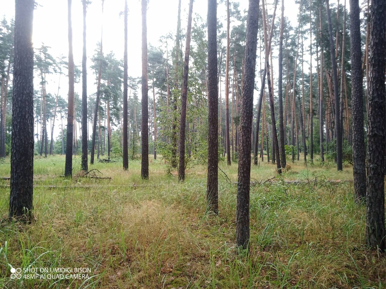 https://upforme.ru/uploads/0017/28/55/7/893864.jpg