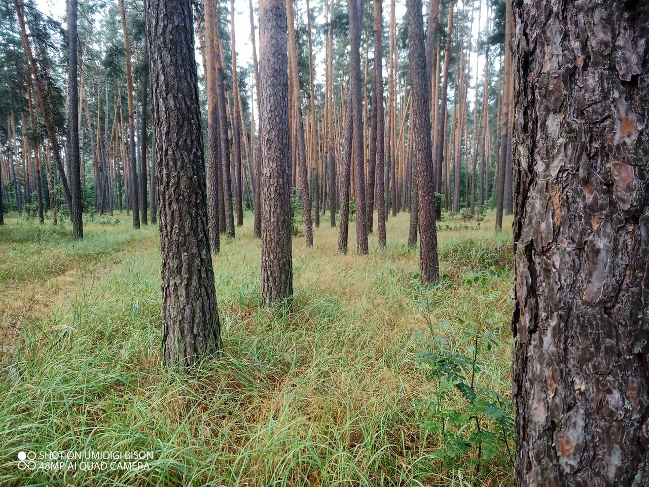 https://upforme.ru/uploads/0017/28/55/7/910836.jpg