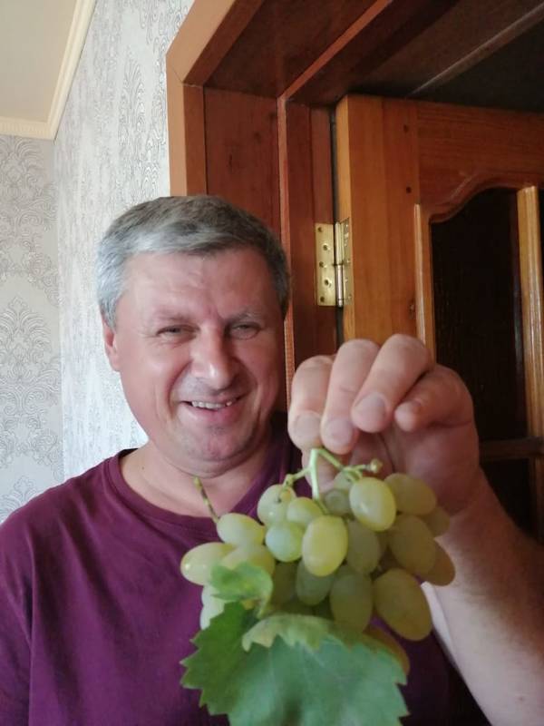 https://upforme.ru/uploads/0017/28/55/7/t302239.jpg