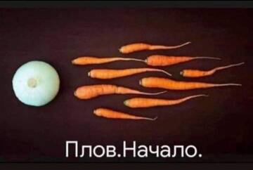 https://upforme.ru/uploads/0017/28/55/73/t124658.jpg