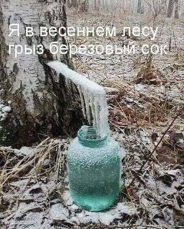 https://upforme.ru/uploads/0017/28/55/73/t194728.jpg