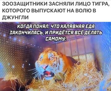 https://upforme.ru/uploads/0017/28/55/73/t230335.jpg