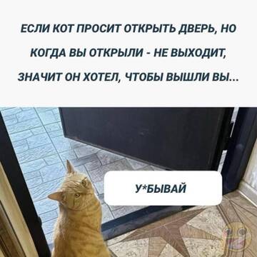 https://upforme.ru/uploads/0017/28/55/73/t486652.jpg