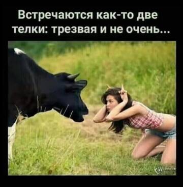 https://upforme.ru/uploads/0017/28/55/73/t552164.jpg