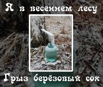 https://upforme.ru/uploads/0017/28/55/73/t789083.png