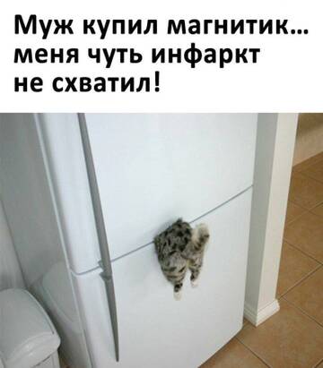 https://upforme.ru/uploads/0017/28/55/73/t864948.jpg