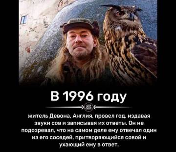 https://upforme.ru/uploads/0017/28/55/73/t994007.jpg