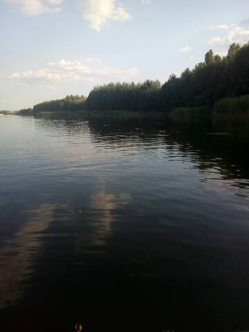 https://upforme.ru/uploads/0017/28/55/76/t954163.jpg