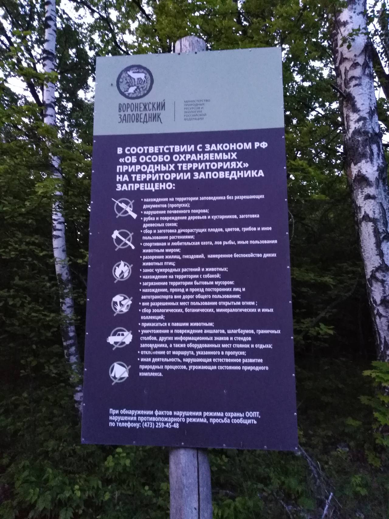https://upforme.ru/uploads/0017/28/55/913/791041.jpg
