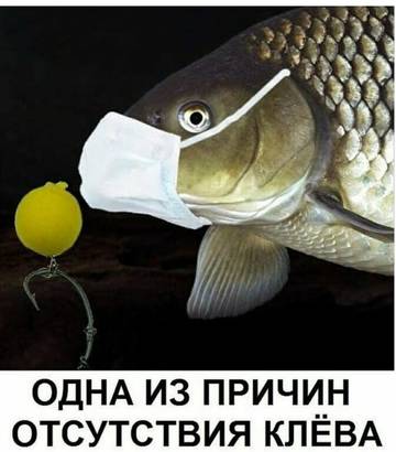 https://upforme.ru/uploads/0017/28/55/927/t429465.jpg