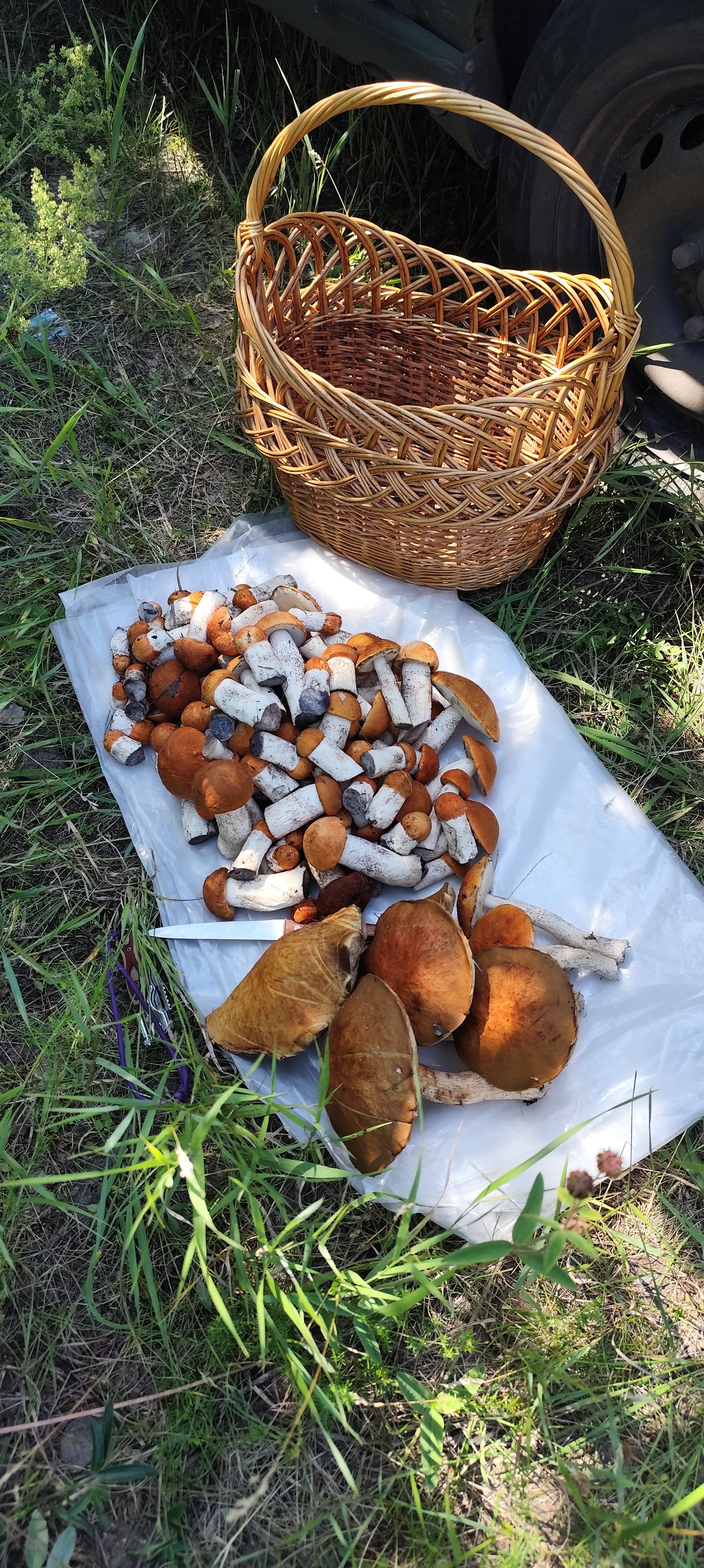 https://upforme.ru/uploads/0017/28/55/93/237542.jpg