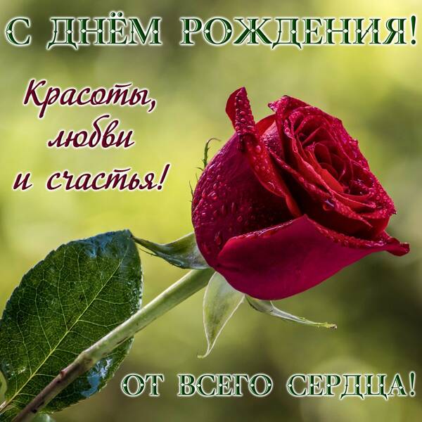 https://upforme.ru/uploads/0017/28/55/936/t242379.jpg
