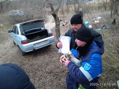 https://upforme.ru/uploads/0017/28/55/936/t43172.jpg