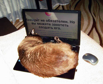 https://upforme.ru/uploads/0017/28/55/94/t837920.jpg