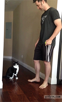 https://upforme.ru/uploads/0017/28/55/94/t97339.gif