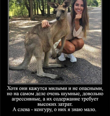 https://upforme.ru/uploads/0017/28/55/96/t388509.jpg