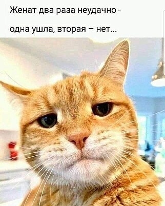 https://upforme.ru/uploads/0017/28/55/96/t39327.jpg