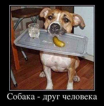 https://upforme.ru/uploads/0017/28/55/96/t98155.jpg