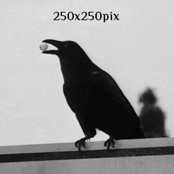 https://upforme.ru/uploads/0017/2a/64/36/677389.gif